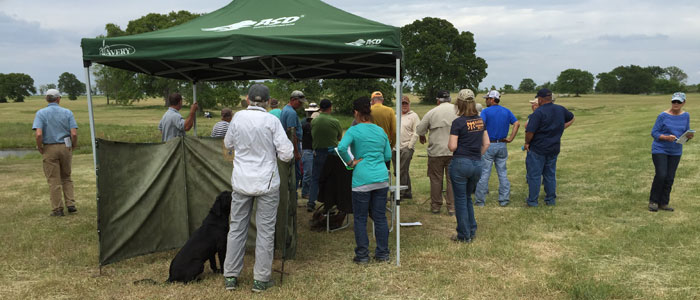 AM test dog goes to line for the land blind